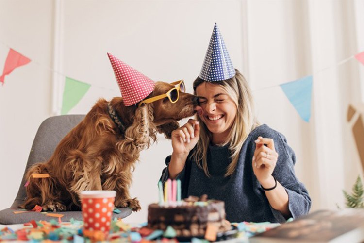 10 Ways to Celebrate Your Dog's Birthday