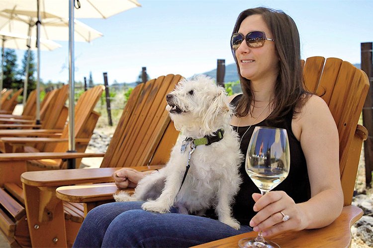 Discover pet-friendly wineries: types, locations and more