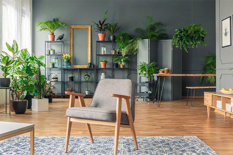 5 Stunning Black and Green Combinations Your Home Needs Now