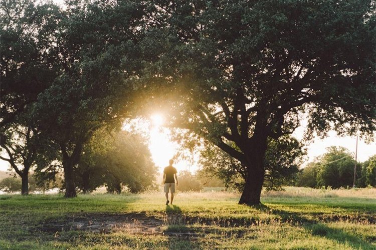 How do trees and green spaces improve our health?